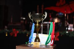 Главный приз - Кубок чемпиона!